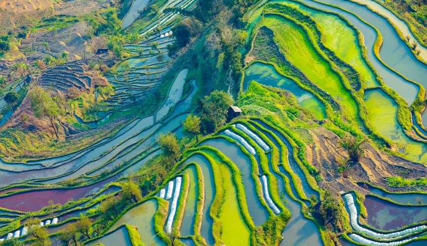 宝妈必备神器：端州区产品视频拍摄轻松育儿好帮手