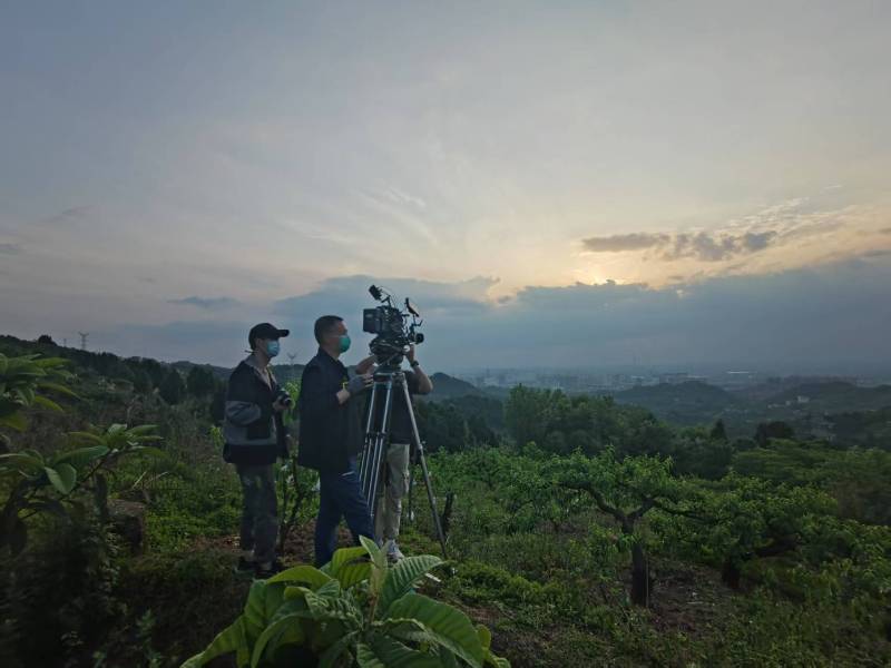 创意破圈！端州区电商产品宣传视频用故事化叙事引爆流量