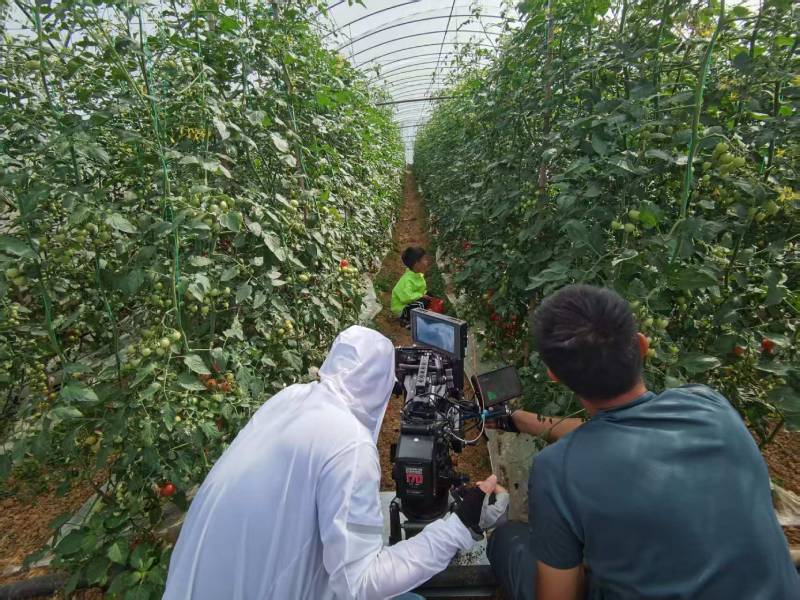 端州区产品宣传视频拍摄公司进阶指南，助力品牌抢占传播高地